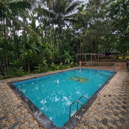 Sunbird Jungle Stay Дандели Екстериор снимка