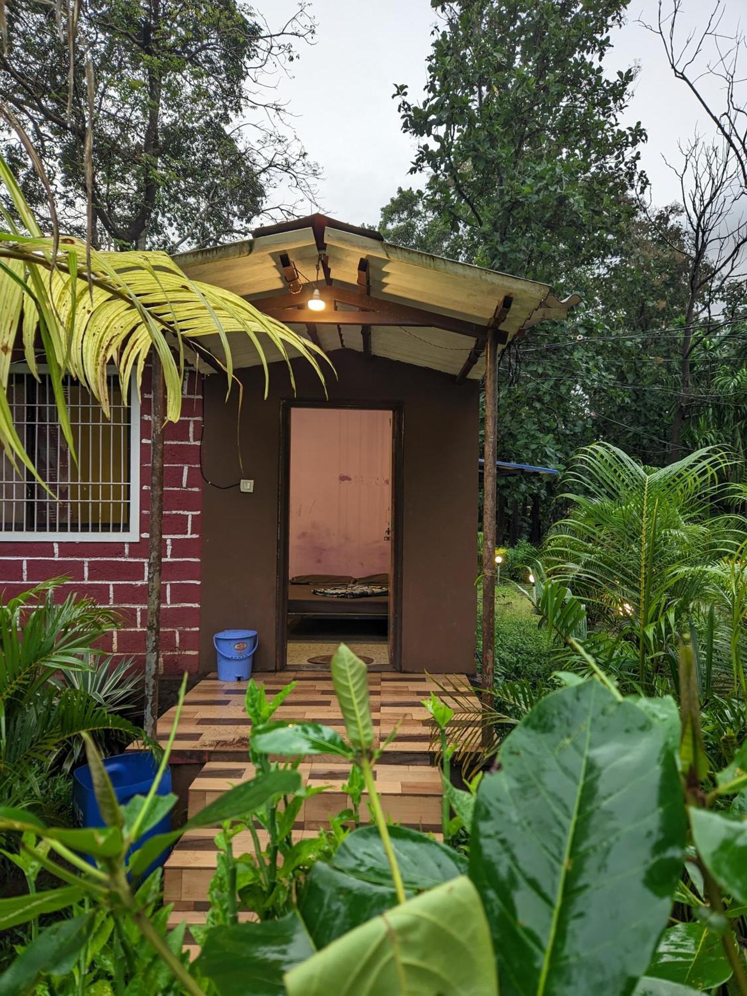 Sunbird Jungle Stay Дандели Екстериор снимка